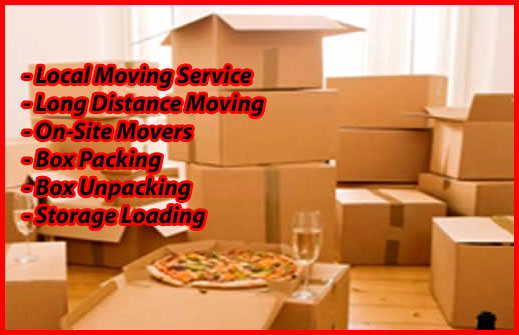 Packers And Movers Noida Sector 50